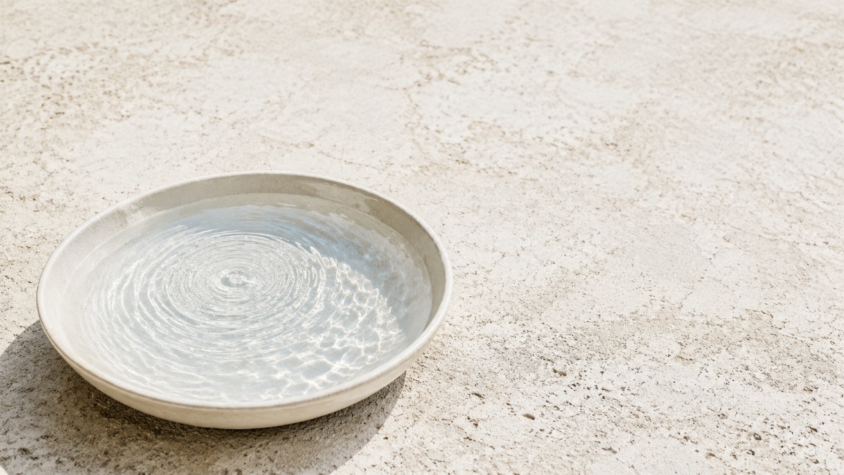 白磁の水盤に広がる波紋。ひとつの影響が静かに広がるイメージ